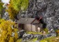 Preview: FALLER 130292 H0 Schutzhütte 