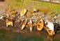 Preview: FALLER 130513 H0 Boote und Tretboote 