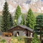 Preview: BUSCH 1444 H0 Almhütte 