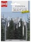 Preview: BUSCH 6132 H0/TT 2 Fichten 70 mm 