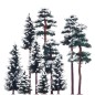 Preview: BUSCH 6150 H0 6 Schnee-Fichten und 4 Schnee-Kiefern 