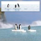 Preview: BUSCH 7923 H0 Pinguine auf Eisschollen 