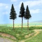 Preview: Heki 2119 H0/TT 3 Hochstammtannen 17 cm 