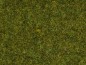 Preview: NOCH 08361 Streugras Wiese, 4 mm, 20g Beutel 