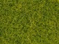 Preview: NOCH 08363 Streugras hellgrün, 4 mm, 20g Beutel 