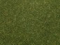 Preview: NOCH 08364 Streugras mittelgrün, 4 mm, 20g Beutel 