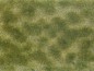 Preview: NOCH 07253 Bodendecker-Foliage grün/beige , 12 x 18 cm
