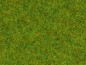 Preview: NOCH 50210 Streugras Frühlingswiese 2,5 mm, 100g Beutel 