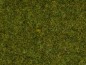 Preview: NOCH 50220 Streugras Wiese 2,5 mm, 100g Beutel 