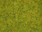 Preview: NOCH 50190 Streugras Sommerwiese 2,5 mm, 100g Beutel 
