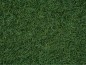 Preview: NOCH 50200 Streugras Moorboden 2,5 mm, 100g Beutel 