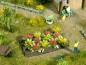Preview: NOCH 13223 H0 Rosenbeet 
