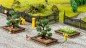 Preview: NOCH 14609 N Blumeninsel 
