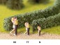 Preview: NOCH 21514 H0/TT/N Modellhecken dunkelgrün 