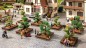 Preview: NOCH 21546 H0/TT/N Zierbüsche 4-5 cm hoch, 12 Stück 