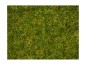 Preview: NOCH 07072 Master-Grasmischung Sommerwiese, 2,5 bis 6 mm , 50g Beutel