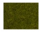 Preview: NOCH 07100 Wildgras, Wiese, 6 mm, 50g Beutel 