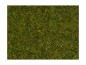 Preview: NOCH 08212 Streugras Wiese, 1,5 mm, 20g Beutel 