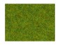 Preview: NOCH 08300 Streugras Frühlingswiese, 2,5 mm, 20g Beutel 