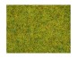 Preview: NOCH 08310 Streugras Sommerwiese, 2,5 mm, 20g Beutel 