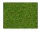 Preview: NOCH 08314 Streugras Zierrasen, 2,5 mm, 20g Beutel 