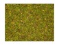 Preview: NOCH 08330 Streugras Blumenwiese, 2,5 mm, 20g Beutel 