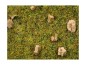 Preview: NOCH 08360 Streugras Steinige Bergwiese, 2,5 mm, 20g Beutel 