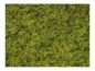 Preview: NOCH 07073 Master-Grasmischung Kuhweide, 2,5 bis 6 mm , 50g Beutel