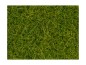 Preview: NOCH 07112 Wildgras XL hellgrün, 12 mm, 40g Beutel 