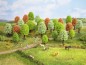 Preview: NOCH 26806 H0/TT Frühlingsbäume 25 Stück, 5-9 cm hoch 