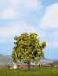 Preview: NOCH 21560 H0/TT/N Apfelbaum mit Früchten, 7,5 cm hoch 