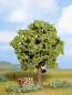 Preview: NOCH 21690 H0/TT/N Hainbuche, 13 cm hoch 