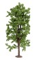 Preview: NOCH 25895 H0/TT/N Rosskastanie, 19 cm hoch 