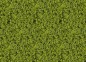 Preview: Heki 1550 HEKI flor Belaubungsvlies hellgrün 28x14 cm 