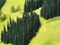 Preview: Heki 2190 H0/TT/N 100 Steckfichten 5-14 cm 