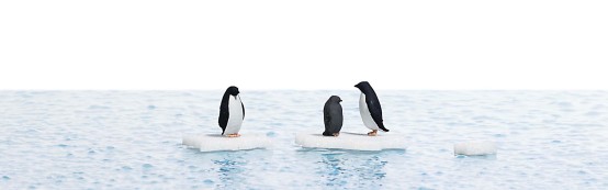 Preview: BUSCH 7923 H0 Pinguine auf Eisschollen 