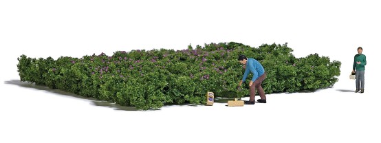 Preview: BUSCH 7956 H0 Waldheidelbeeren pflücken 