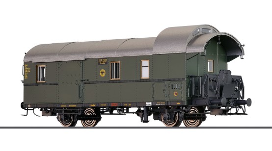 BRAWA 45828 H0 Packwagen Bauart Pwiel-29, DRG 