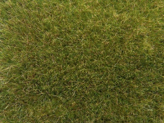 NOCH 07117 Wildgras Wiese, 9 mm, 50g Beutel 