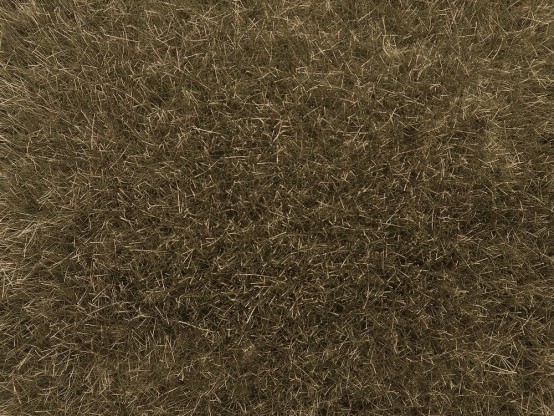 NOCH 07122 Wildgras braun, 9 mm, 50g Beutel 