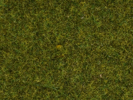 NOCH 50220 Streugras Wiese 2,5 mm, 100g Beutel 