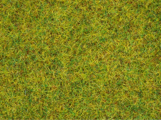 NOCH 50190 Streugras Sommerwiese 2,5 mm, 100g Beutel 