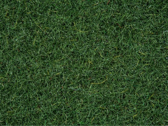 NOCH 50200 Streugras Moorboden 2,5 mm, 100g Beutel 