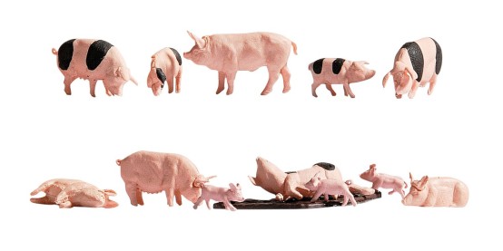 NOCH 15712 H0 Schweine 