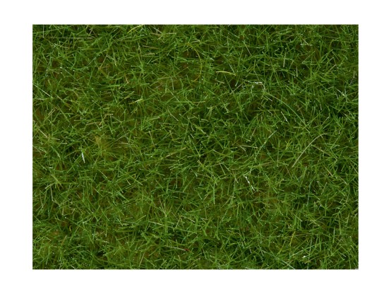 NOCH 07102 Wildgras, hellgrün, 6 mm, 50g Beutel 