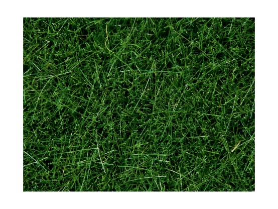 NOCH 07106 Wildgras, dunkelgrün, 6 mm, 50g Beutel 