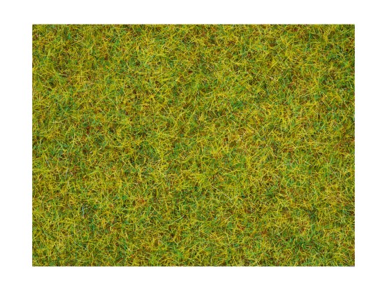 NOCH 08310 Streugras Sommerwiese, 2,5 mm, 20g Beutel 