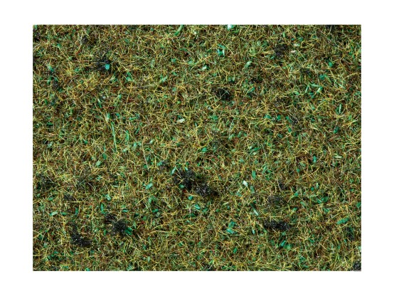 NOCH 08350 Streugras Waldboden, 2,5 mm, 20g Beutel 