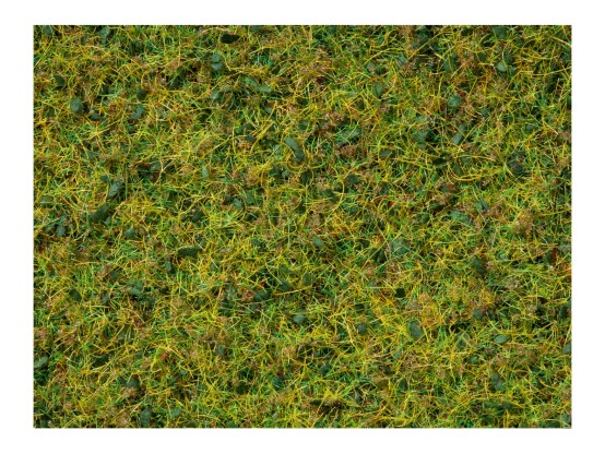 NOCH 07073 Master-Grasmischung Kuhweide, 2,5 bis 6 mm , 50g Beutel