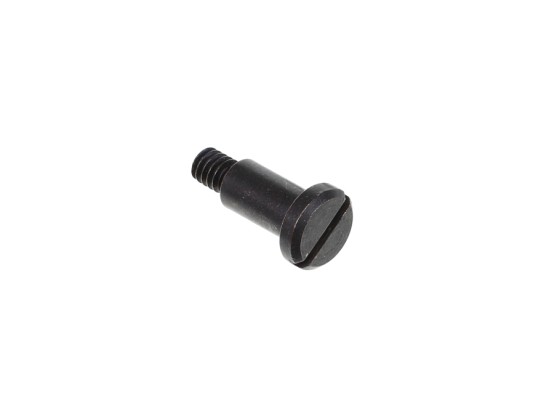 Roco 85669 GF-Ansatzschraube M2x5x3 mm Modelleisenbahn